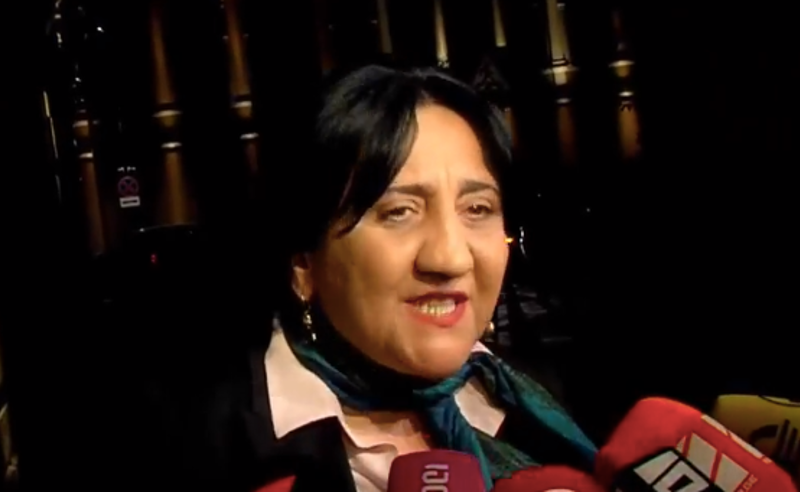 ჩვენი პოლიტიკური გუნდისთვის პლებისციტი მიუღებელია - ირმა ინაშვილი