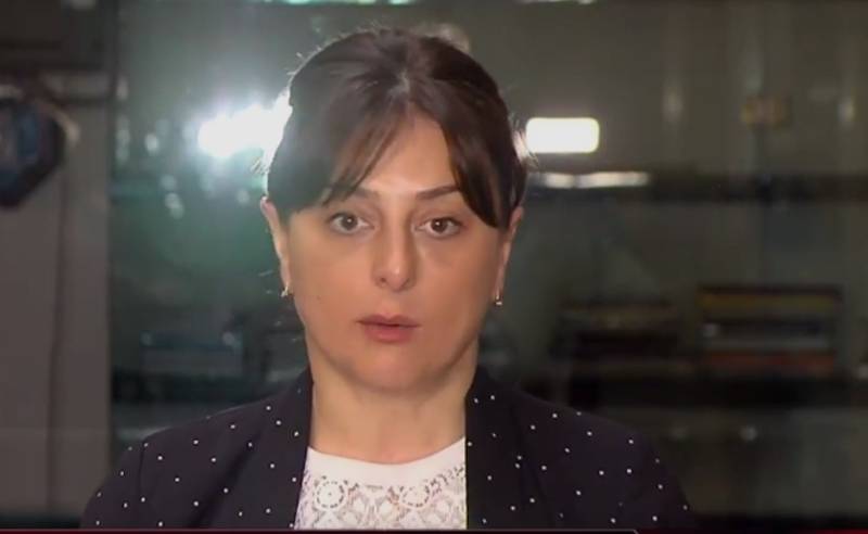 პირადი მიყურადების ფაქტზე უნდა დაიწყოს გამოძიება - მაია ბითაძე