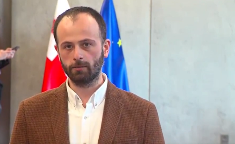 ვუთხარით, რომ ვადამდელი არჩევნები ერთჯერადი გამოსავალია - ვახუშტი მენაბდე დანიელსონთან შეხვედრაზე