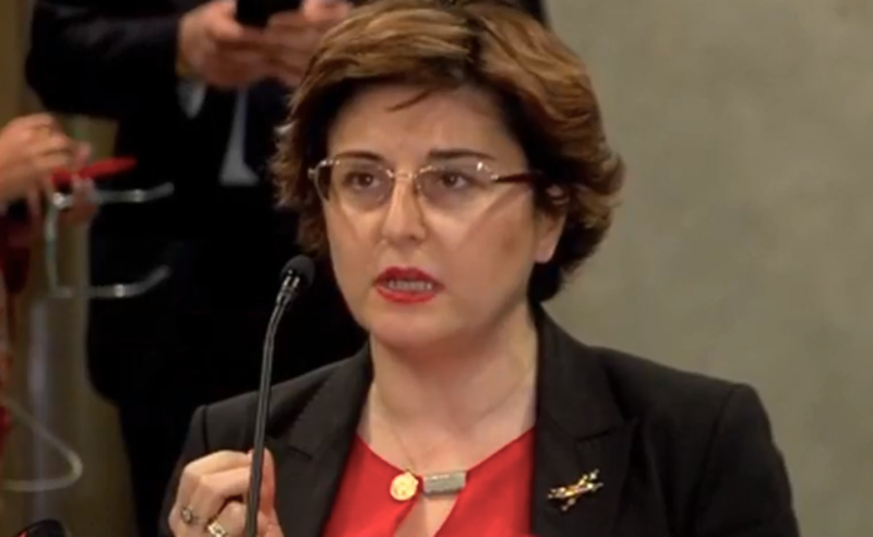იყო რთული საუბარი, გვაქვს პროგრესი - ხათუნა სამნიძე შეხვედრის შემდეგ