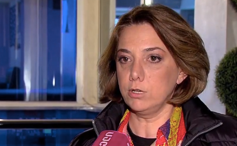 მნიშვნელოვანია, რომ პროგრესი შედგეს ყველა პუნქტთან მიმართებით - სამადაშვილი