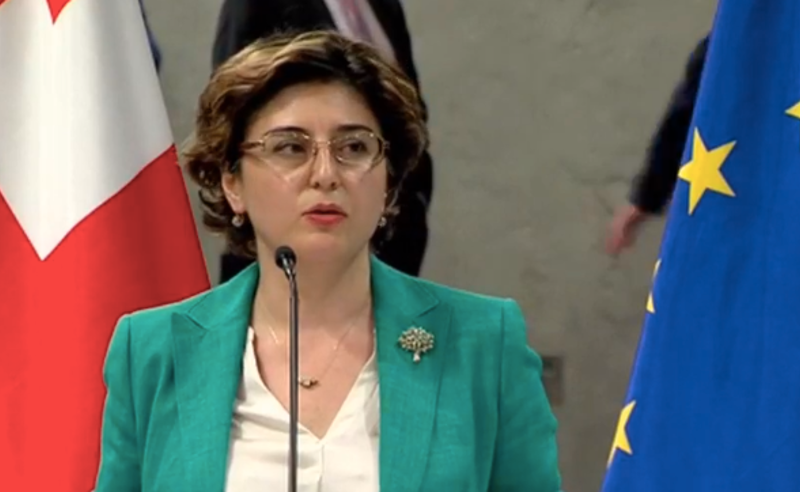 უკვე არის ჩანაწერი, როგორ შეიძლება, მივიდეთ არჩევნებამდე - ხათუნა სამნიძე