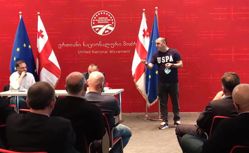 განხეთქილება ,,ენმ"-ში - პარტიის ერთი ნაწილი სამადაშვილის გარიცხვაზე ალაპარაკდა