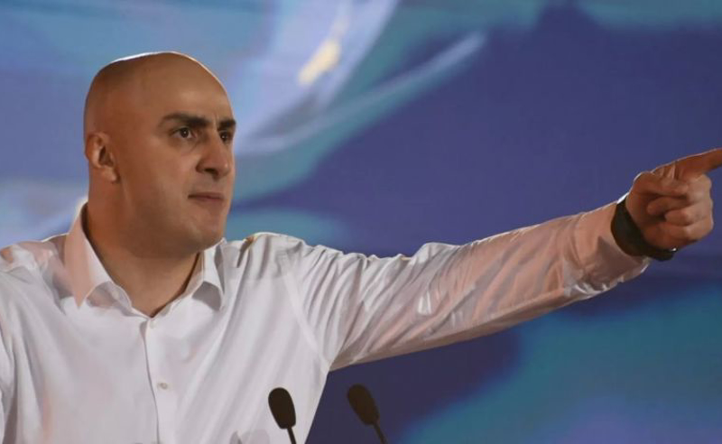 "ჩემით ივაჭრეს, თავისი გაინაღდეს, დაღალატებული ვარ"- ჭიჭინაძე მელიას წერილს ასაჯაროებს