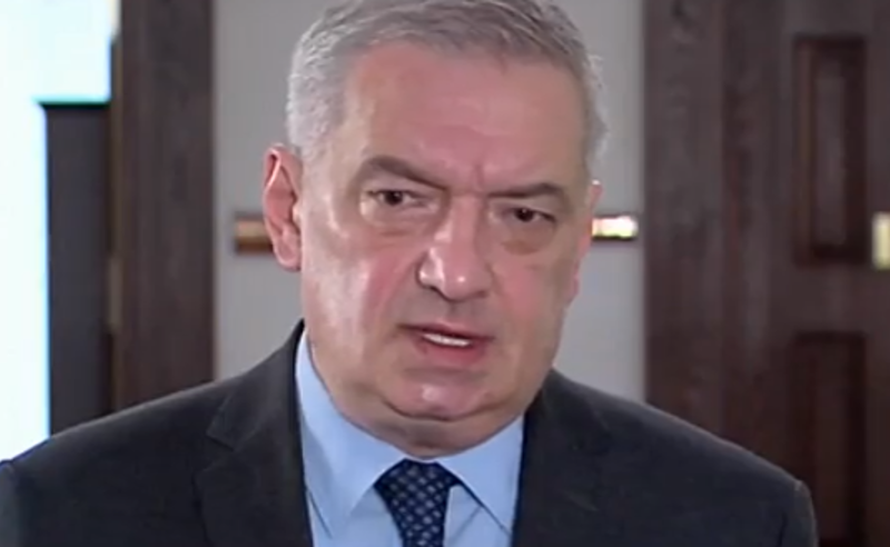 ამნისტიის აქტთან დაკავშირებით ,,ენმ"-ს პოზიცია შეთანხმების ჩაშლის მცდელობაა - ვოლსკი