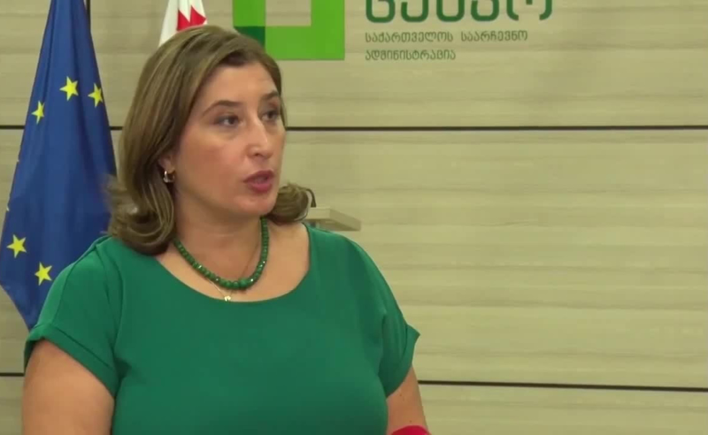 უნდა დადგეს თამარ ჟვანიას პასუხისგების საკითხი - ოპოზიცია