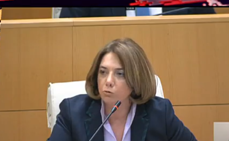 მინდა, მივესალმო პოლიტპატიმარ რურუას, პოლიტპატიმარ ნიკა მელიას - სალომე სამადაშვილი