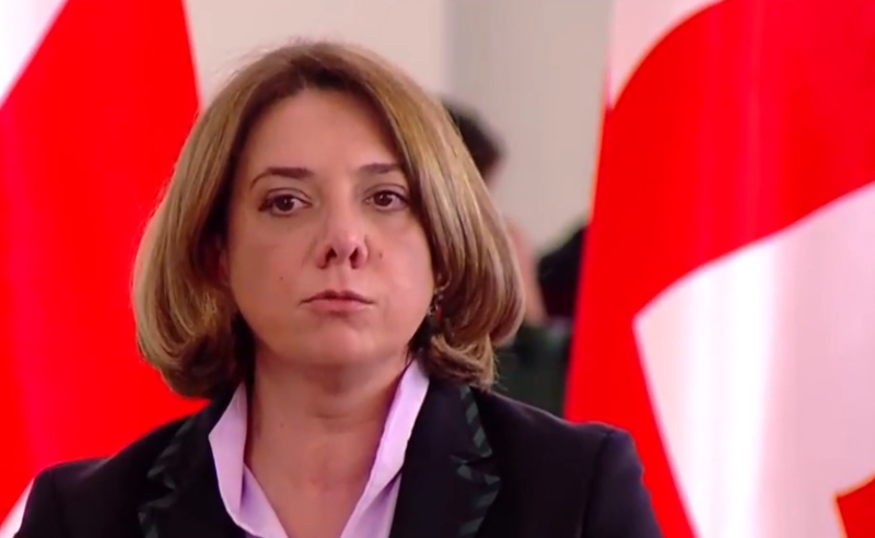 ევროკავშირის მიერ მელიას გირაოს გადახდა, პოლიტპატიმრად აღიარებას ნიშნავს - სამადაშვილი 
