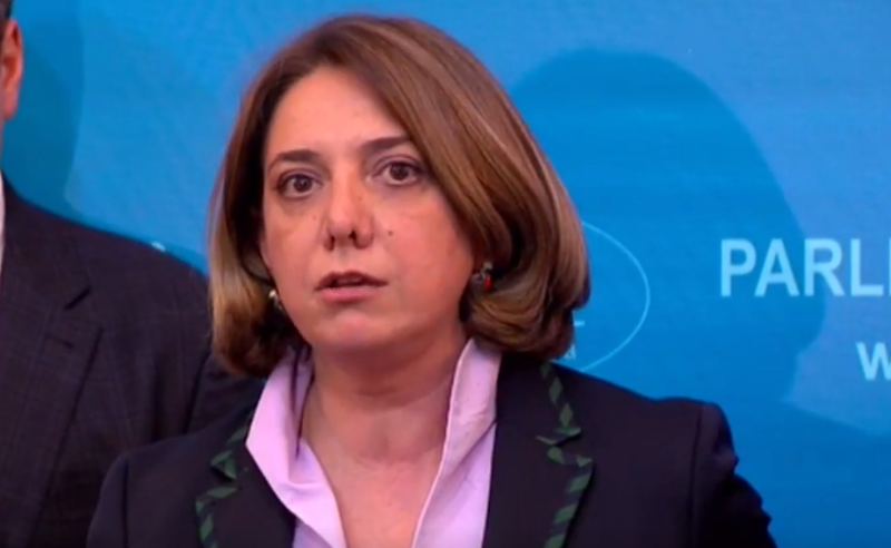 ეს არის პირველი ნათელი შედეგი შეთანხმების - სამადაშვილი რურუას შეწყალებაზე 