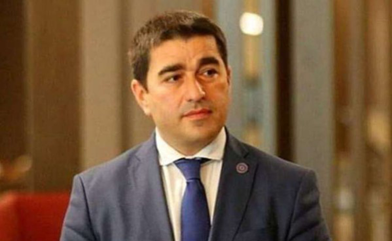მძიმეა იმის ნახვა, რომ წითელ ღილაკსაც არ ერიდებიან - პაპუაშვილი გახარიას გუნდზე