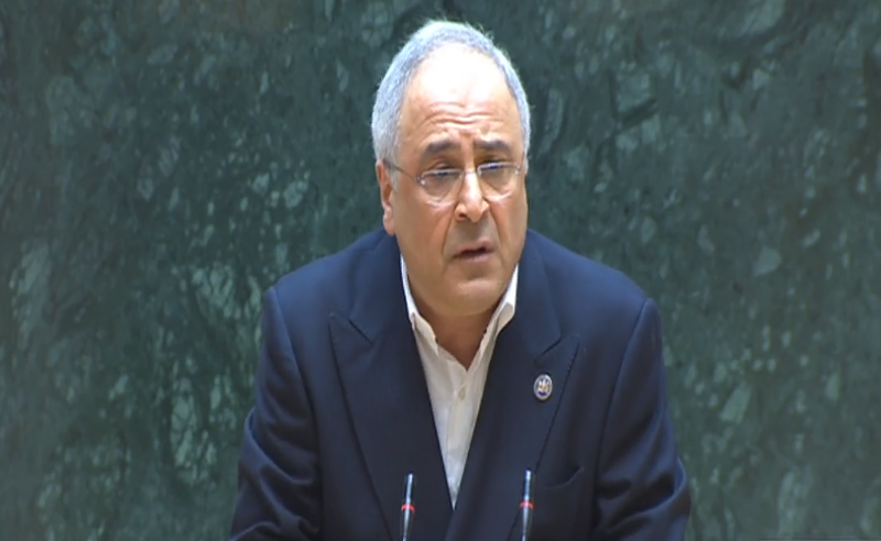 15-ვე კომიტეტში ჩვენ გვიწევს სიარული, დავიღალეთ - ზილფიმიანი 