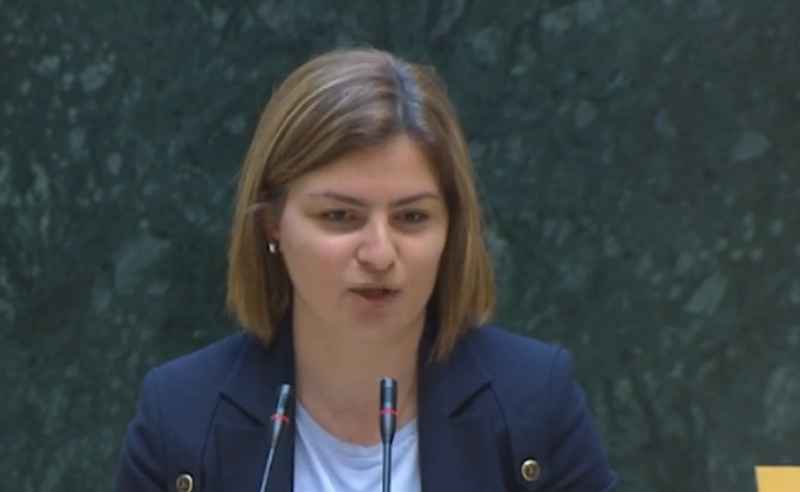 ამ კანონპროექტს ჰქვია "ქართულ ოცნებას ეშინია" - ნაცვლიშვილი ხელისუფლებას