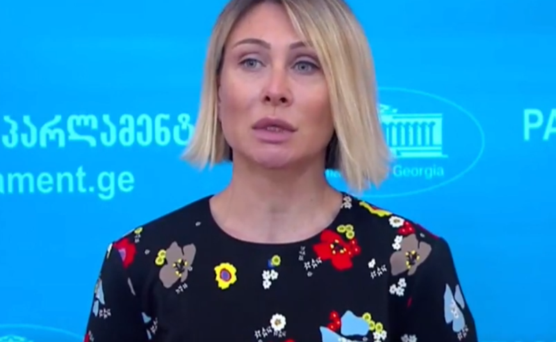 უმრავლესობა მათგანის პროტესტი არაგულწრფელი იყო - ნინო წილოსანი 