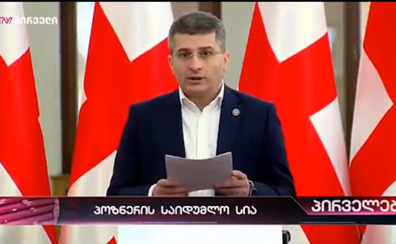 "ფსევდო პატრიოტიზმით შეფუთული სამარცხვინო ისტერია"- მდინარაძე აქციაზე
