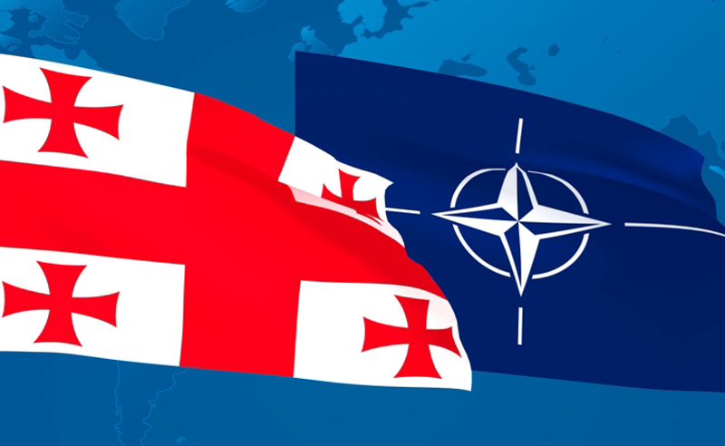 59% მხარს უჭერს საქართველოს NATO-ში გაწევრიანებას, 8% მკაცრად ეწინააღმდეგება - IRI