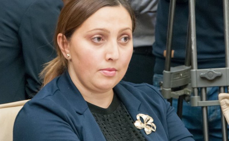 მოქმედმა მოსამართლემ შვებულება აიღო, შვილთან წავიდა აშშ-ში და დარჩა - ჯანეზაშვილი