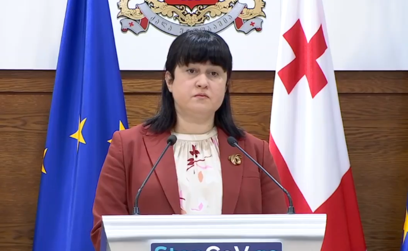 უბედურ შემთხვევას საკარანტინო შეზღუდვებს ვერ დავუკავშირებთ - თამარ გაბუნია