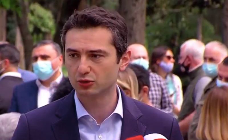 როცა მელია გამოვა, აუცილებლად უნდა დაიკავოს პარლამენტში ადგილი - კუჭავა
