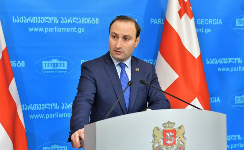 ევროკავშირმა სააკაშვილს რუსული სცენარის განხორციელების შესაძლებლობა ხელიდან წაგლიჯა - ოხანაშვილი