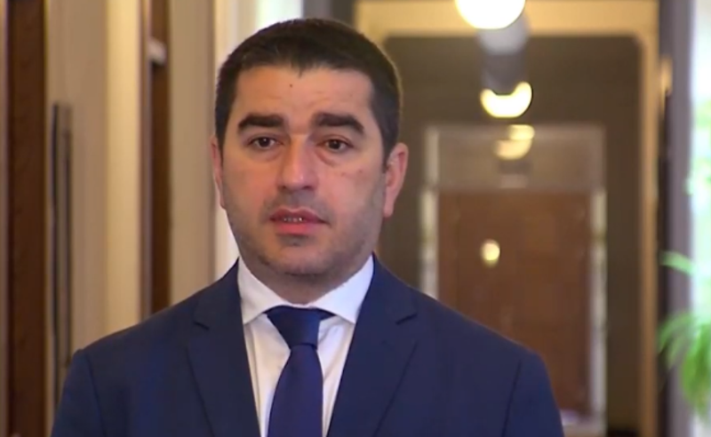 დიდი წარმოდგენა უნდა ჰქონდეს ადამიანს, რომ იფიქროს, მხოლოდ მის გამო  იყოს მიღებული ამნისტია - პაპუაშვილი