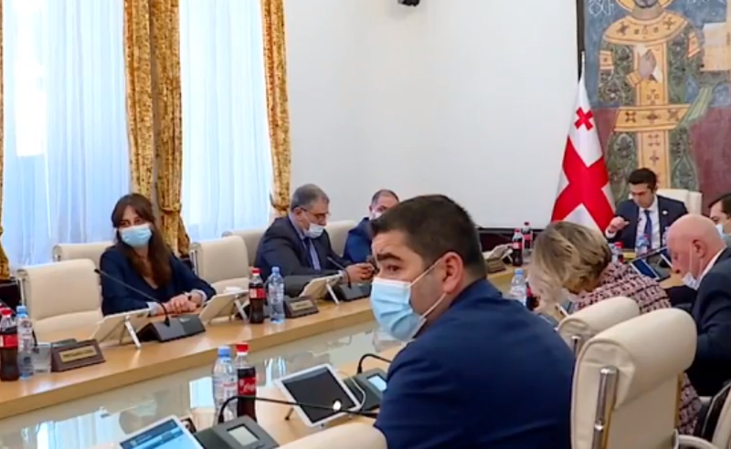 ამნისტიის 2  კანონპროექტი პარლამენტში - ოპოზიცია "ოცნების" ვარიანტს მხარს არ უჭერს