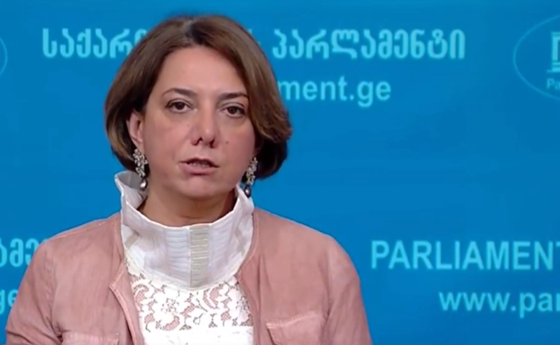 ამნისტიის კანონპროექტზე კონსესუსს უნდა მივაღწიოთ  - სალომე სამადაშვილი