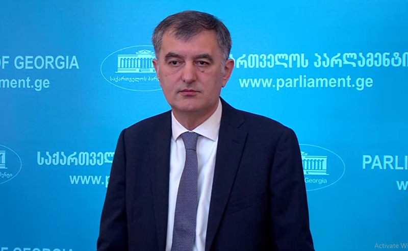 არანაირ ეთნიკურ კონფლიქტზე საუბარი არ შეიძლება იყოს - სოზარ სუბარი დმანისში მომხდარ დაპირისპირებაზე