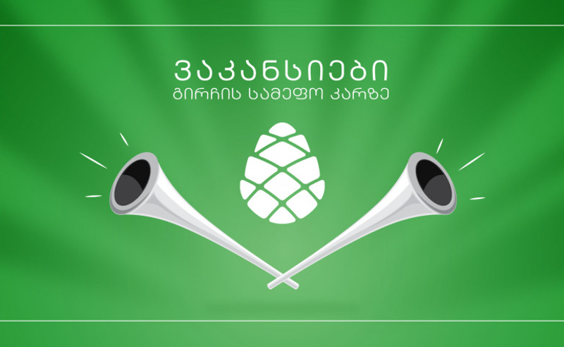 ვაკანსიები სამეფო კარზე - "გირჩი" დასაქმებულებს 1000-დან 3000 ლარამდე გადაუხდის