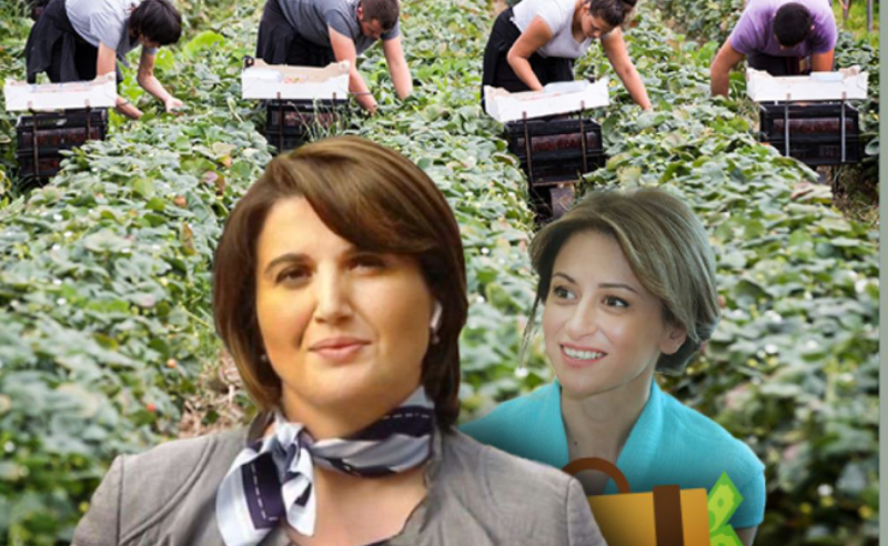 სააგენტომ,რომელსაც გერმანიაში დასაქმებულების უფლებები უნდა დაეცვა,ბიუჯეტიდან 308 მილიონი მიიღო
