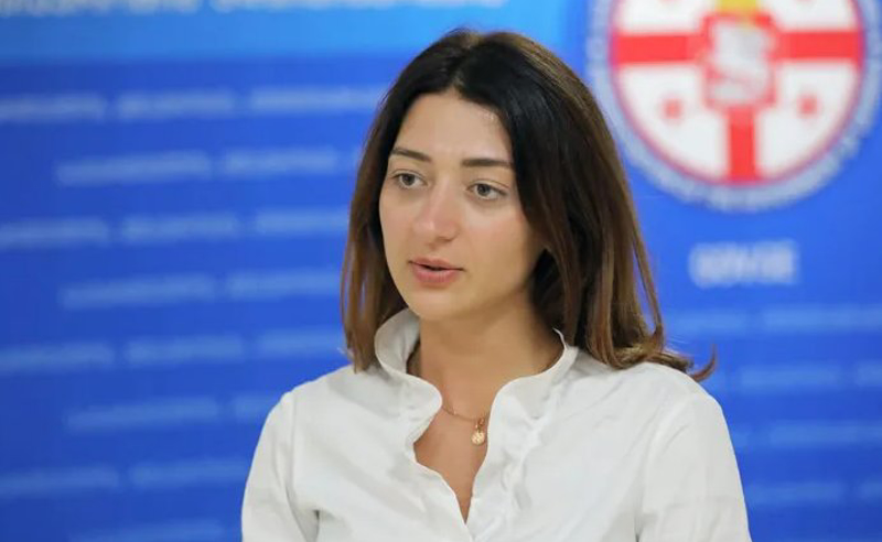 გიორგი გახარიას საამნისტიო არაფერი სჭირს - ანა ბუჩუკური