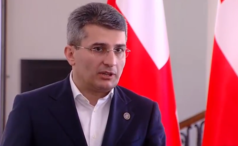 აკეთებენ იმ საქმეს, რომელიც აწყობს ჩრდილოელ მეზობელს - მამუკა მდინარაძე "რიონის მცველებზე"