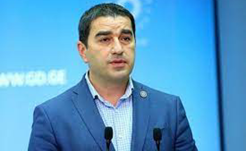 პაპუაშვილმა ევროპარლამენტარები სააკაშვილთან შეხვედრის გამო გააკრიტიკა