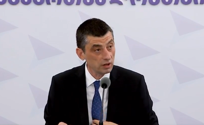 ამნისტიას მხარს არ დავუჭერ - გახარია