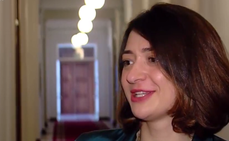 პოლიტიკური პარტიებისთვის არაფრის დამტკიცებას არ ვაპირებთ - ანა ბუჩუკური