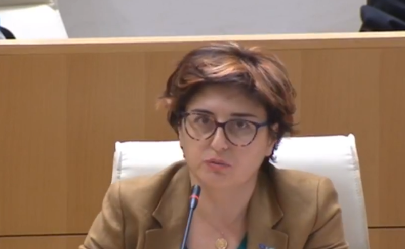 როგორც ჩანს, წინასწარ მოამზადეთ ტექსტები - ხათუნა სამნიძე "ოცნებას" აკრიტიკებს