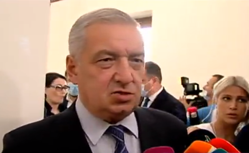 დესტრუქციულ ქმედებას ,,ენმ" საპარლამენტო ტრიბუნიდან გააგრძელებს - ვოლსკი