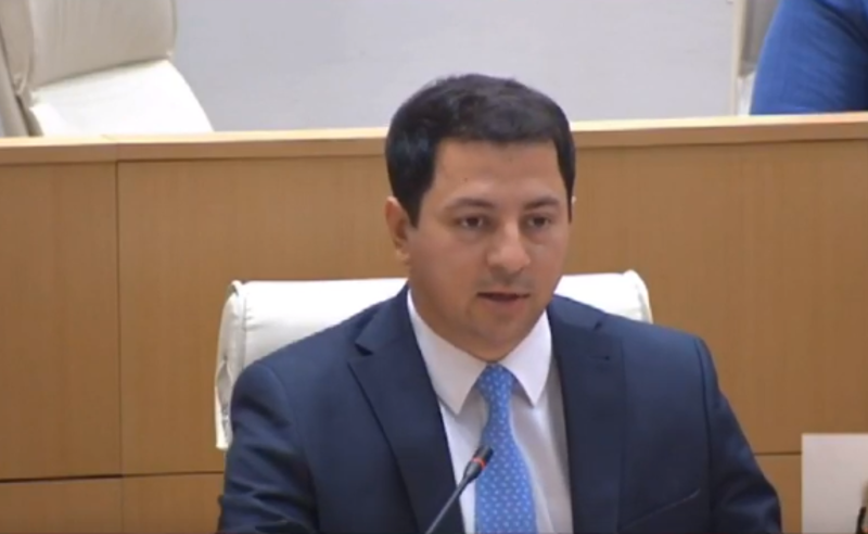 პარადოქსით იწყებენ საქმიანობას პარლამენტში - თალაკვაძე ,,ენმ"-ზე