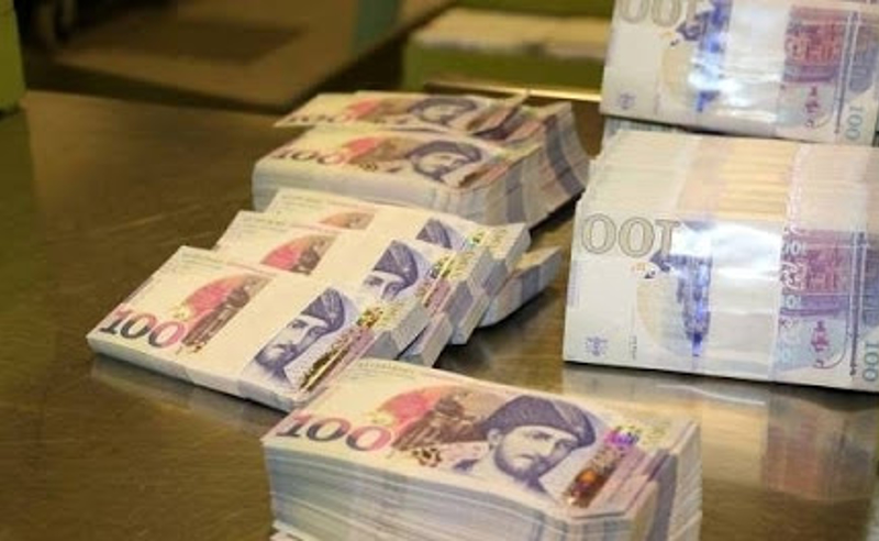 2017-2021 წლებში თბილისმა და ბათუმმა 1 მლნ 800 ათასი სეზონურ მცენარეებზე დახარჯა - ფლანგვის დეტექტორი