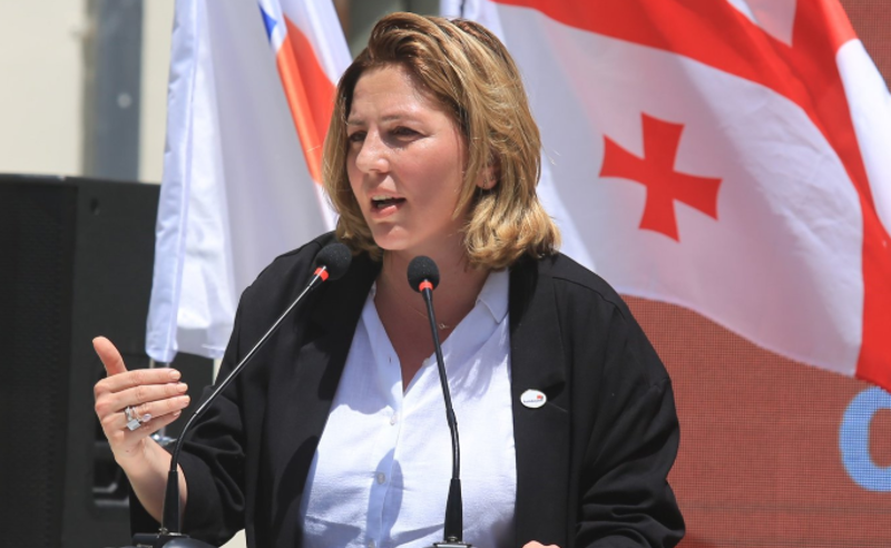 ანა დოლიძე თბილისის მერობის საერთო კანდიდატად საზოგადოებას საკუთარ თავს სთავაზობს