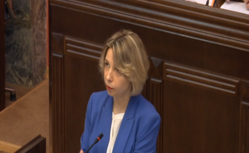 საბჭომ უნდა დაასაბუთოს, რა გავლენას ახდენს გადაადგილების შეზღუდვა კორონავირუსის გავრცელებაზე - ლომჯარია