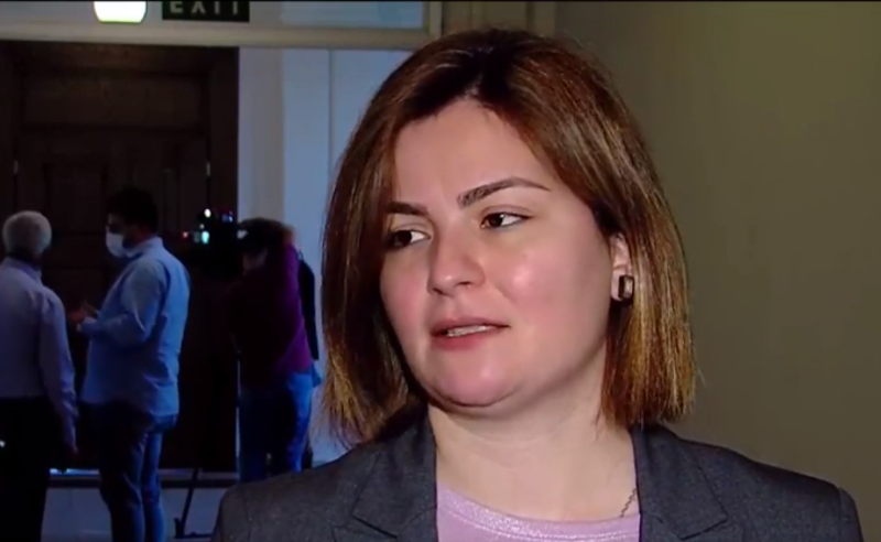 სანქციები იმსახურებს განხილვას - ნაცვლიშვილი სამადაშვილის ინიციატივაზე 