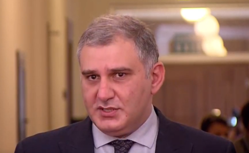 კრიტიკა გადაჭარბებულია, სასანქციოდ არ არის საქმე - სარჯველაძე სამადაშვილის ინიციატივაზე 
