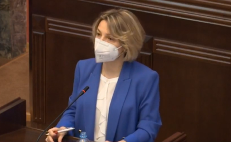 ომბუდმსენი პარლამენტში წლიურ ანგარიშს წარადგენს - სხდომას "ოცნებაც" დაესწრება