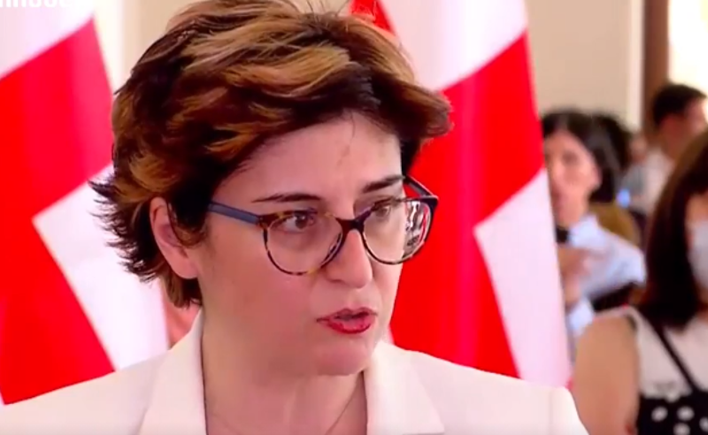 ყურადღებით წაიკითხონ დოკუმენტი, სანამ სანქციები გაჩნდება - სამნიძე სენატის რეზოლუციაზე 
