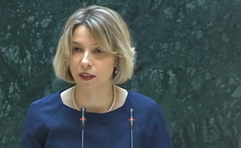 მელაშვილისა და ილიჩოვას ბრალდება ეწინააღმდეგება კანონიერების პრინციპს - ომბუდსმენის ანგარიში