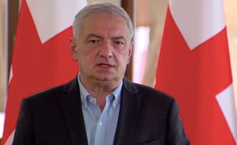 მედიატორის რჩევებით ვერ ვიხელმძღვანელებთ - ვოლსკი