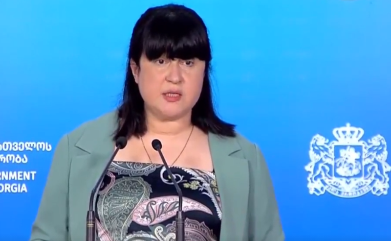 მოქალაქე რომ ვერ იღებს კუთვნილ დოზას, ეს არის სერიოზული ხარვეზი - გაბუნია