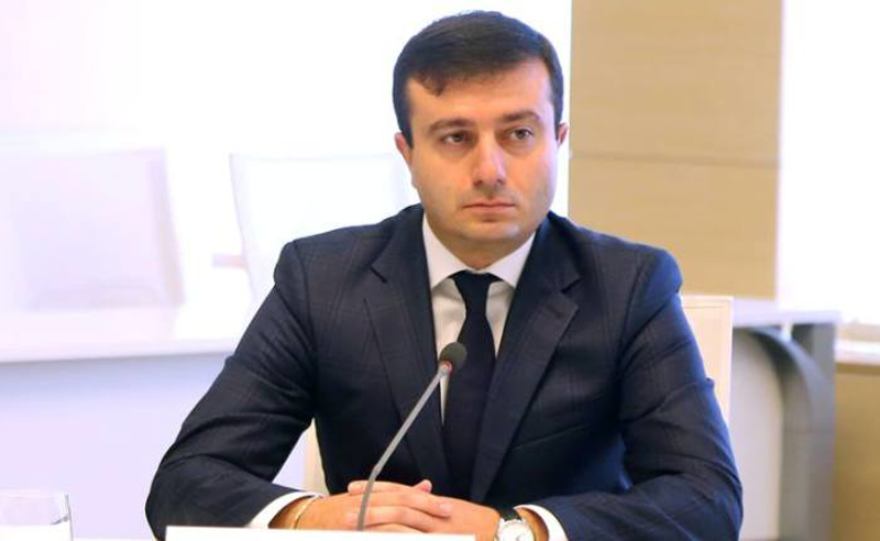 "ოცნებამ" სავარაუდოდ, იძულების ფორმით გადააყენა თამარ ჟვანია - გახარიას გუნდი