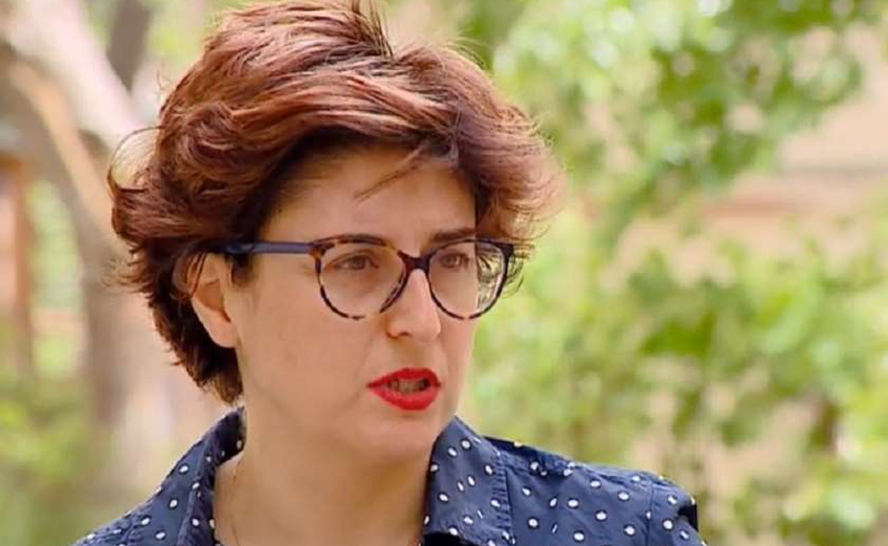 პრემიერმა ფაქტობრივად, მოუწოდა მოძალადეებს საკუთარი შეხედულებებისამებრ იმოქმედონ - სამნიძე