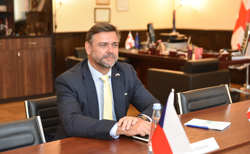 "საქართველოში დემოკრატიის ბედი სასწორზეა" - ჩეხეთის ელჩი